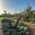 Quels sont les tarifs d’un architecte paysagiste à Marrakech ?